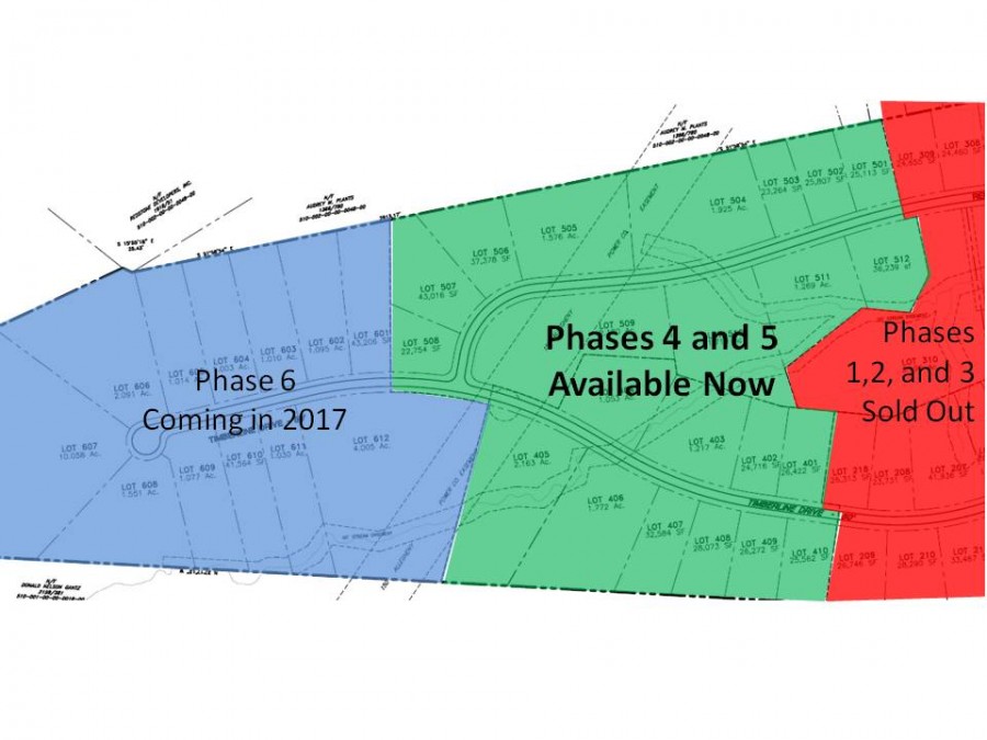 Sycamore Phases Available